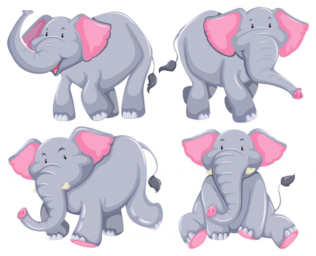 Elephant